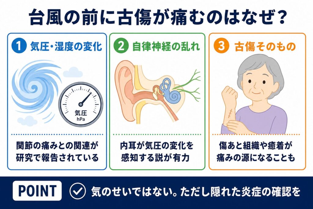 台風と古傷の関係について