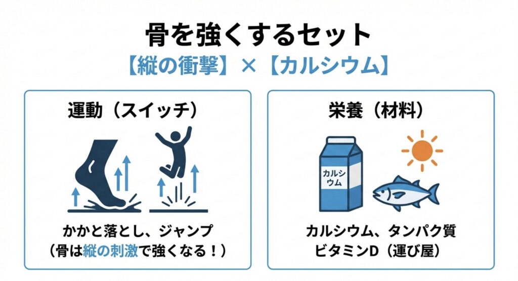 骨を強くするために