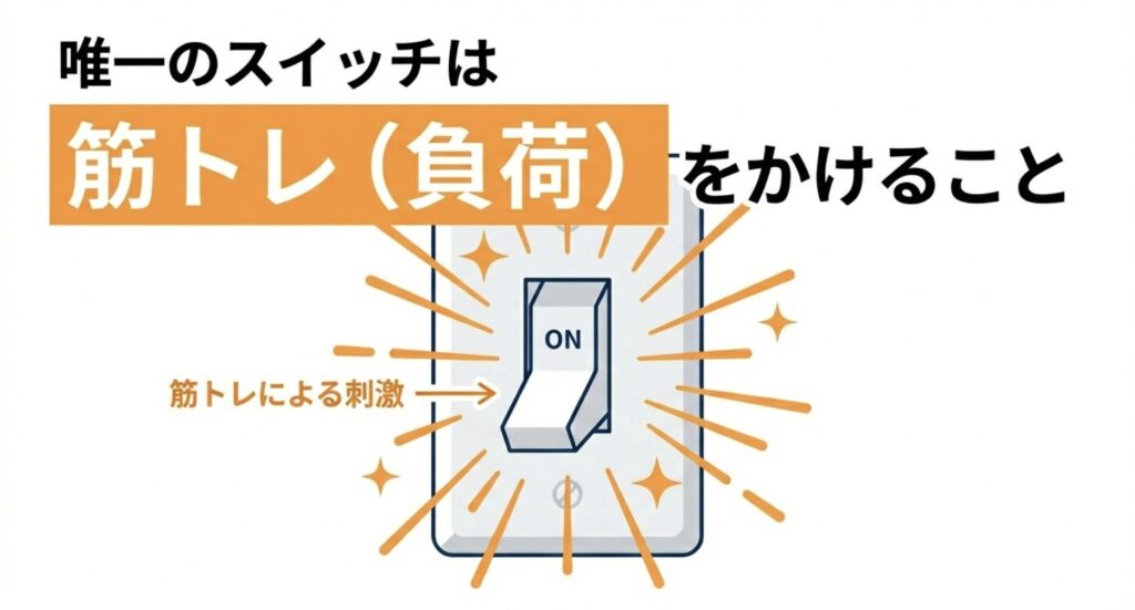 筋トレスイッチ