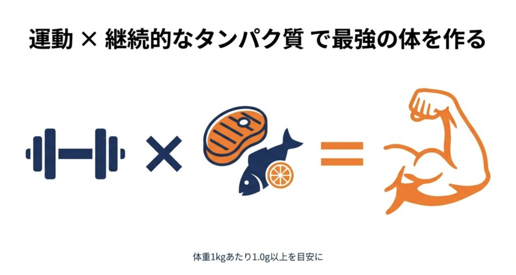 運動とタンパク質