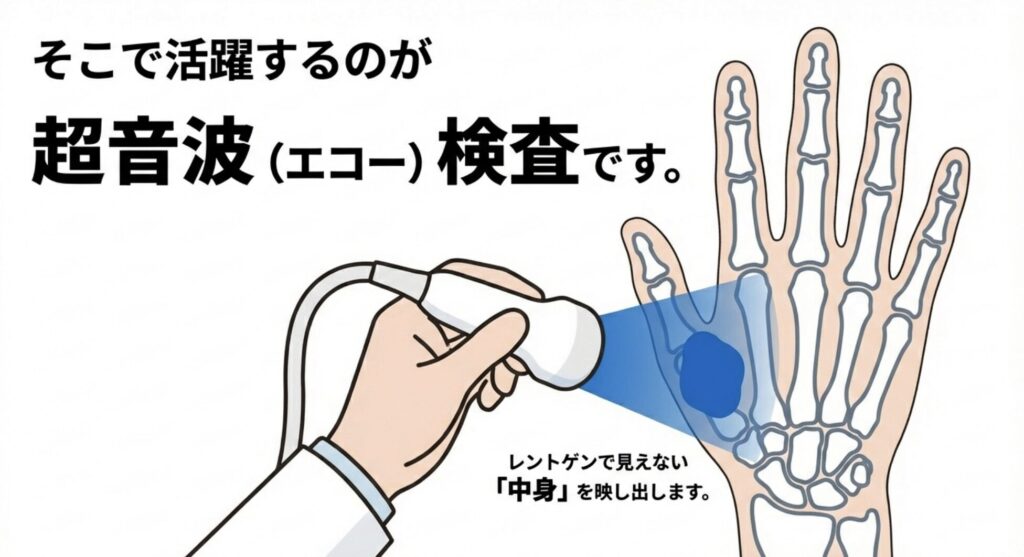 エコー検査で見える化
