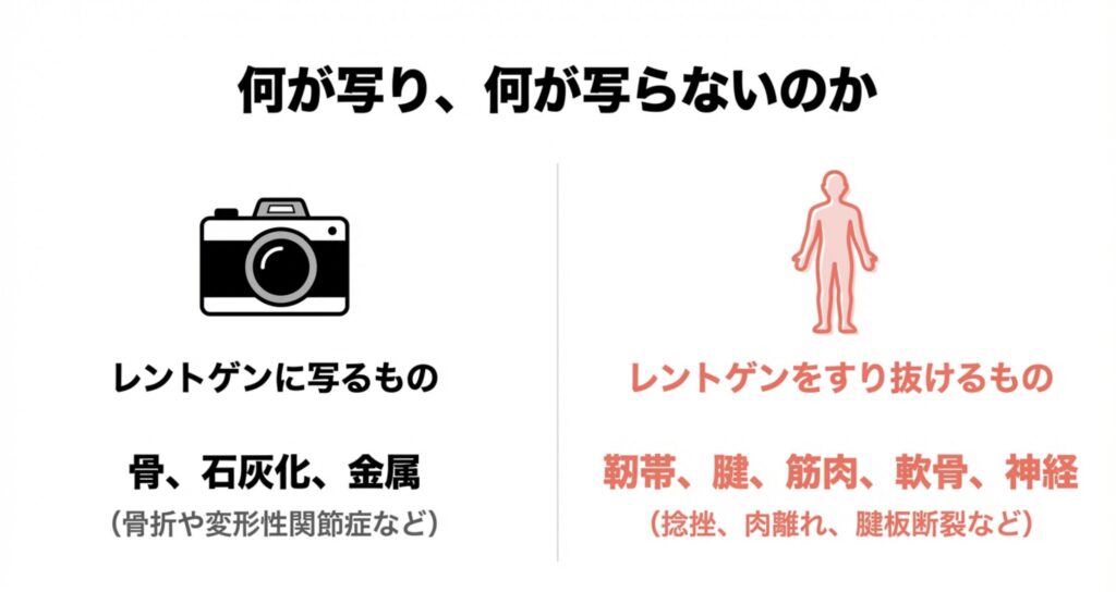 レントゲンに写るもの、写らないもの