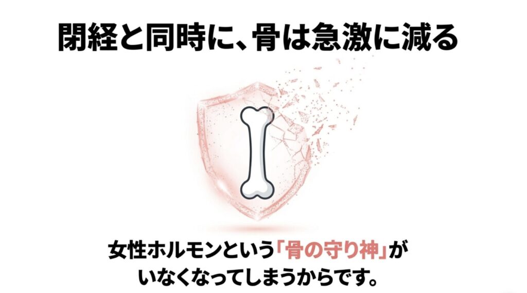 女性ホルモンと骨の関係