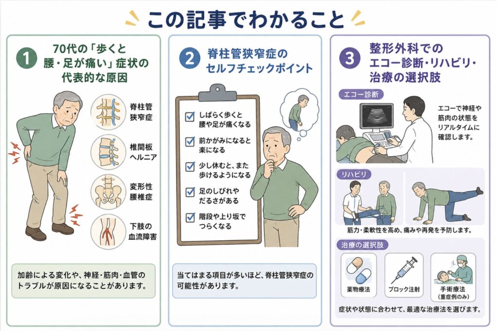 70代の「歩くと腰・足が痛い」症状の代表的な原因

脊柱管狭窄症のセルフチェックポイント

整形外科でのエコー診断・リハビリ・治療の選択肢