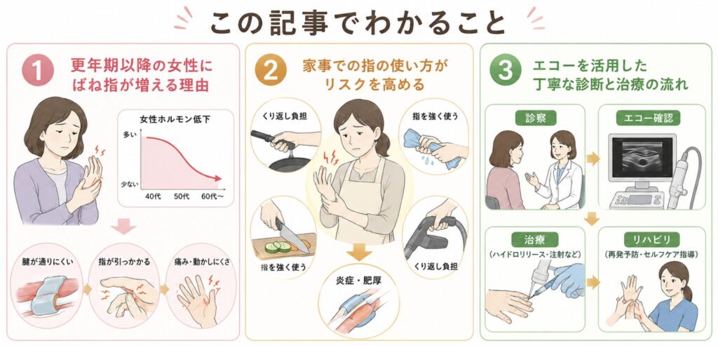 この記事でわかること
・更年期以降の女性にばね指が増える理由
・家事での指の使い方がリスクを高めるメカニズム
・当院でのエコーを活用した丁寧な診断と治療の流れ